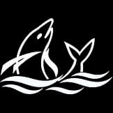 AS Marine Logo White