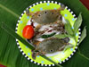 Three Spot Crab