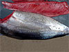 Yellow Fin Tuna Loins